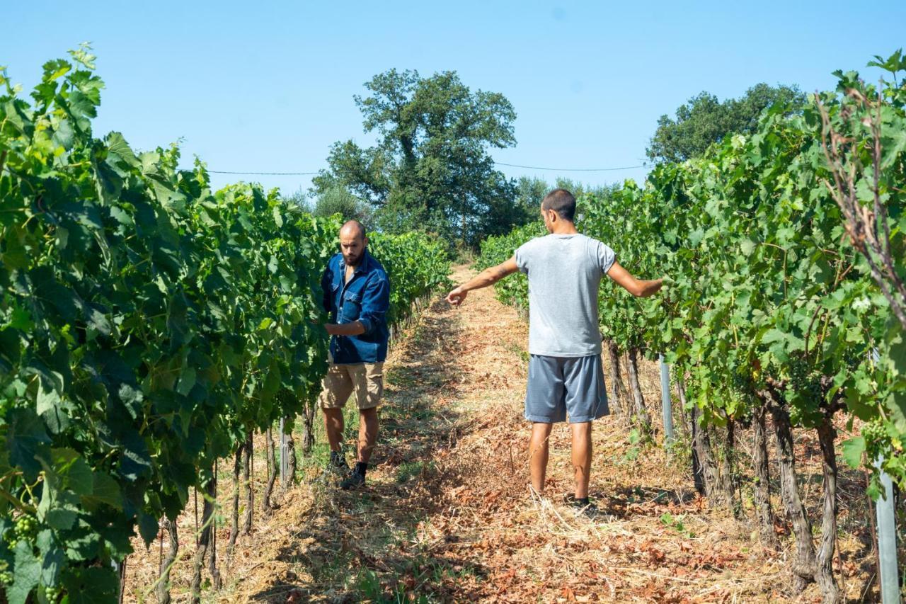 Agriturismo Colle Vento Suvereto Εξωτερικό φωτογραφία