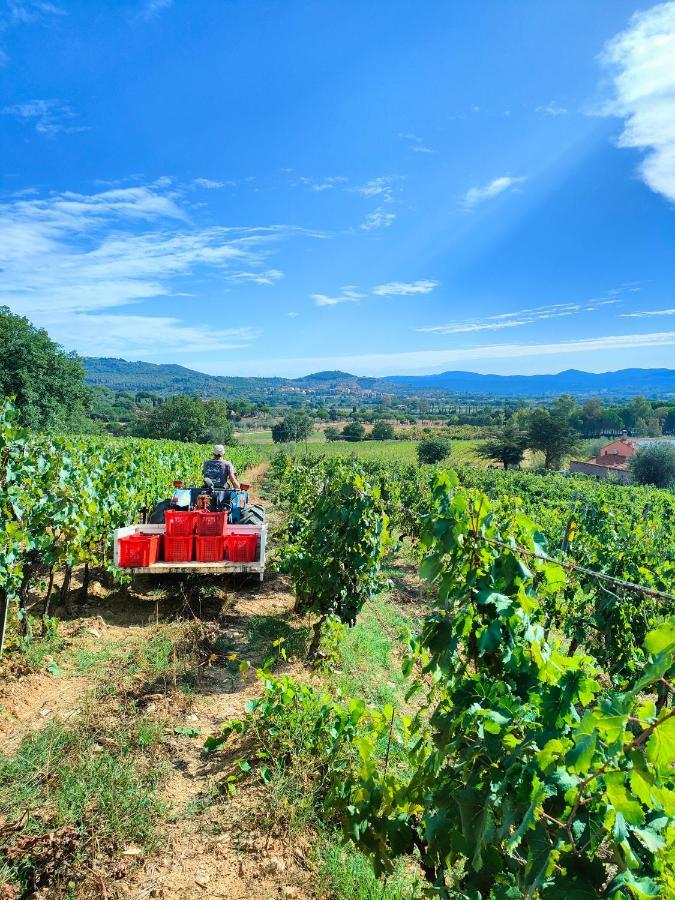 Agriturismo Colle Vento Suvereto Εξωτερικό φωτογραφία