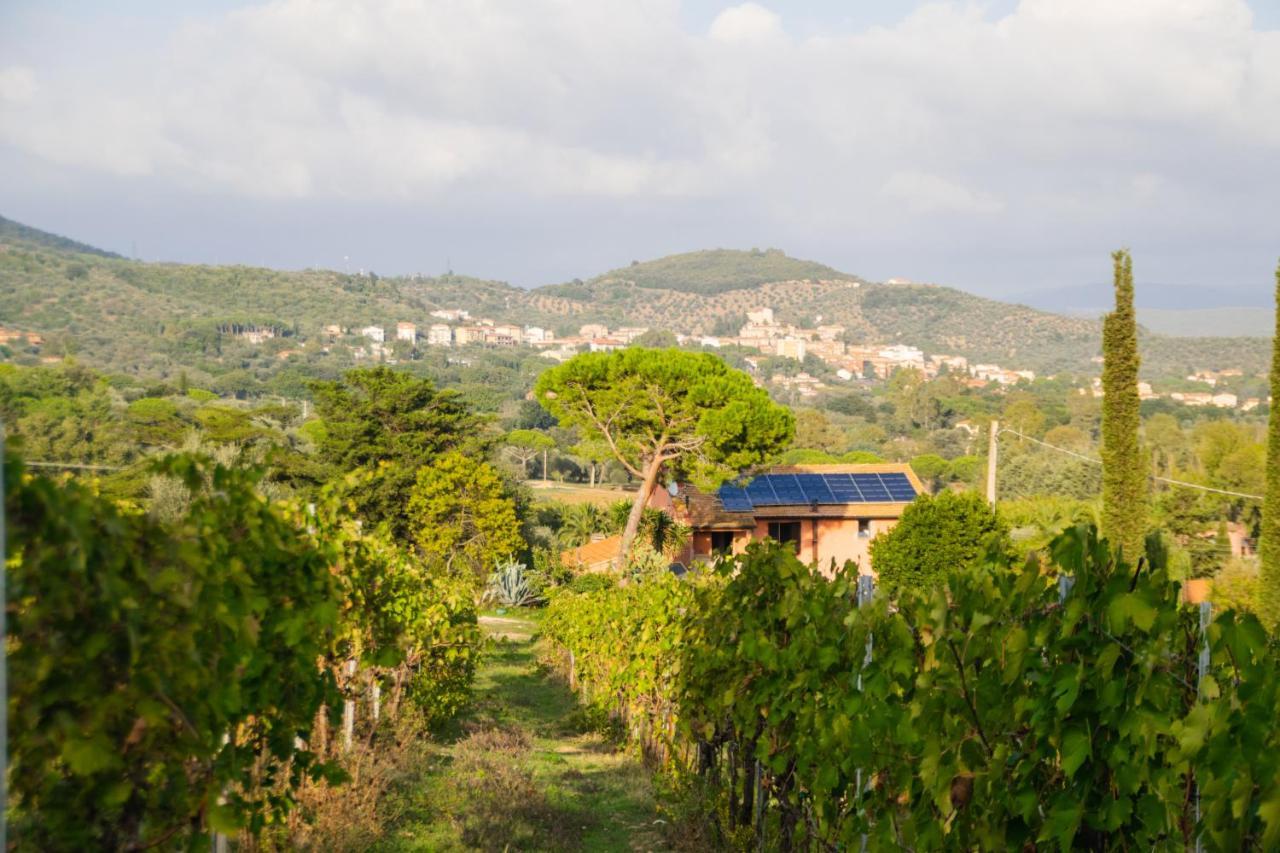 Agriturismo Colle Vento Suvereto Εξωτερικό φωτογραφία